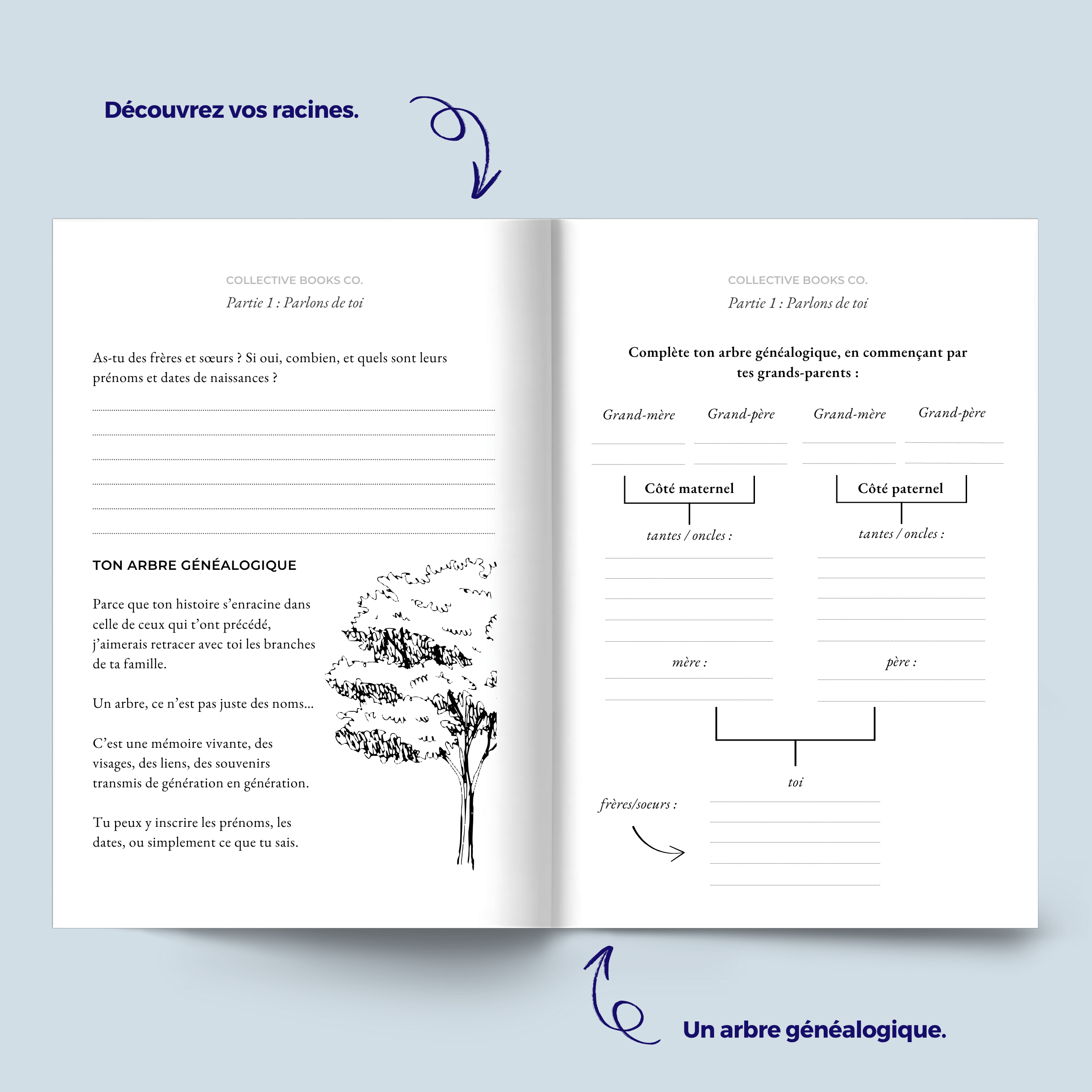 Journal : Je veux connaître ton histoire